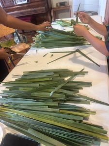 WhatsApp Image 2026-03-28 at 12.36.37 (2)